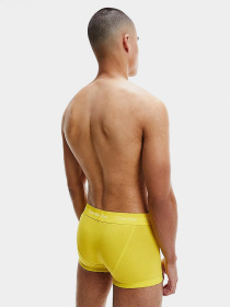 Нижнее белье Calvin Klein Underwear Trunk модель U2664G_WHY Фото