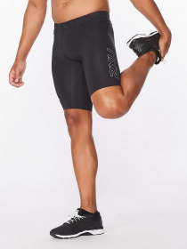 Шорти 2XU Core модель MA3851b-BLK/SIL Фото
