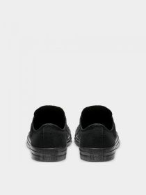 Кеды CONVERSE CHUCK TAYLOR ALL STAR модель M5039C Фото