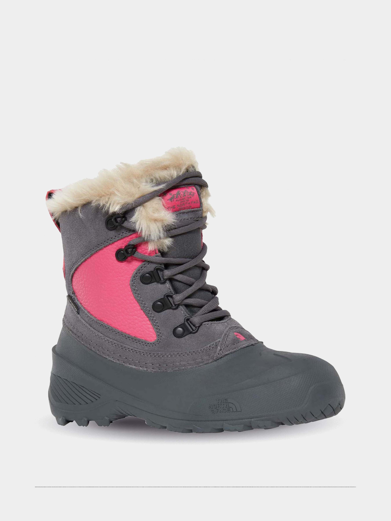Ботинки и сапоги The North Face Shellista Extreme модель NF0A2T5VH7D1 Фото