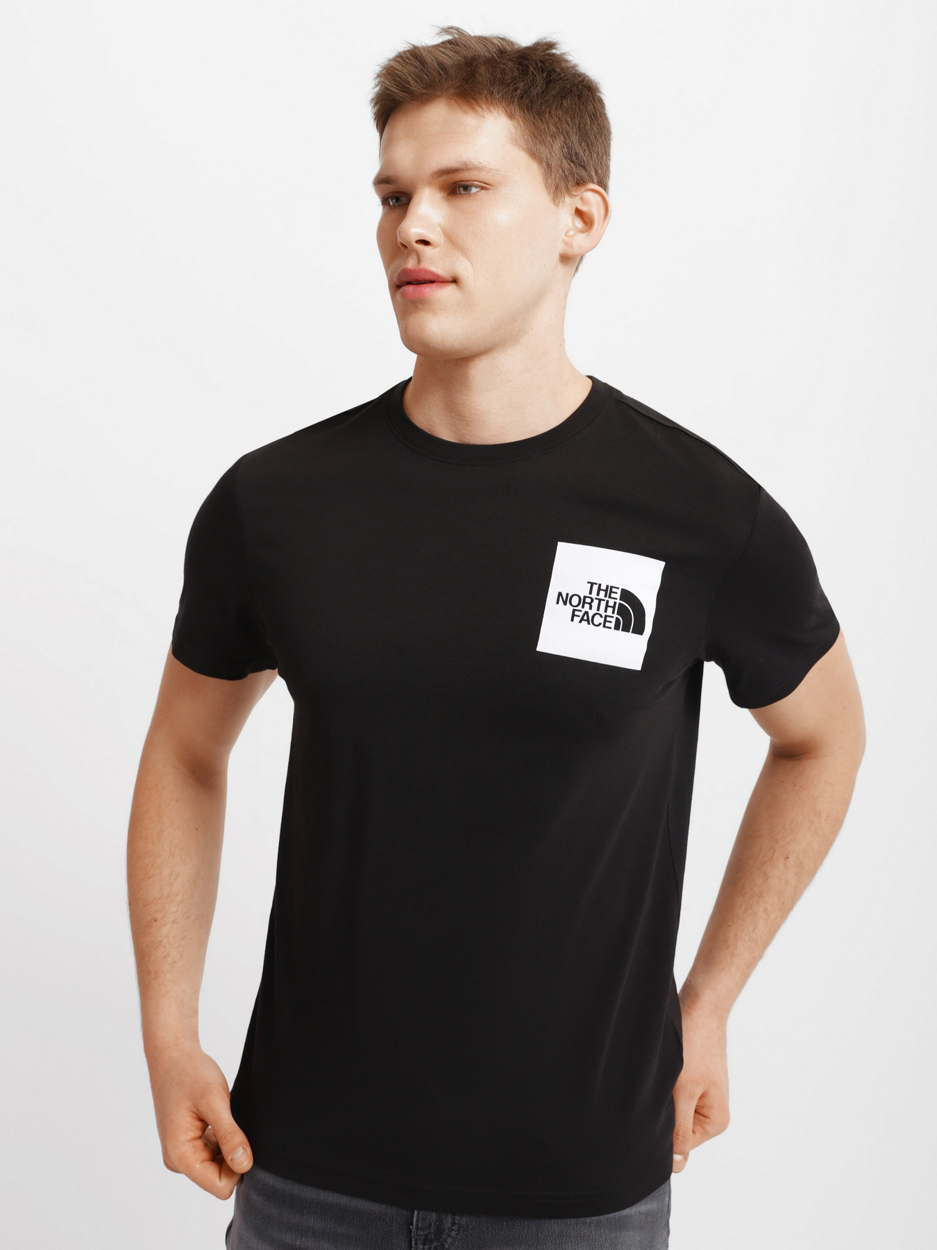 Футболки и поло The North Face S/S Fine Tee модель NF00CEQ5JK31 Фото