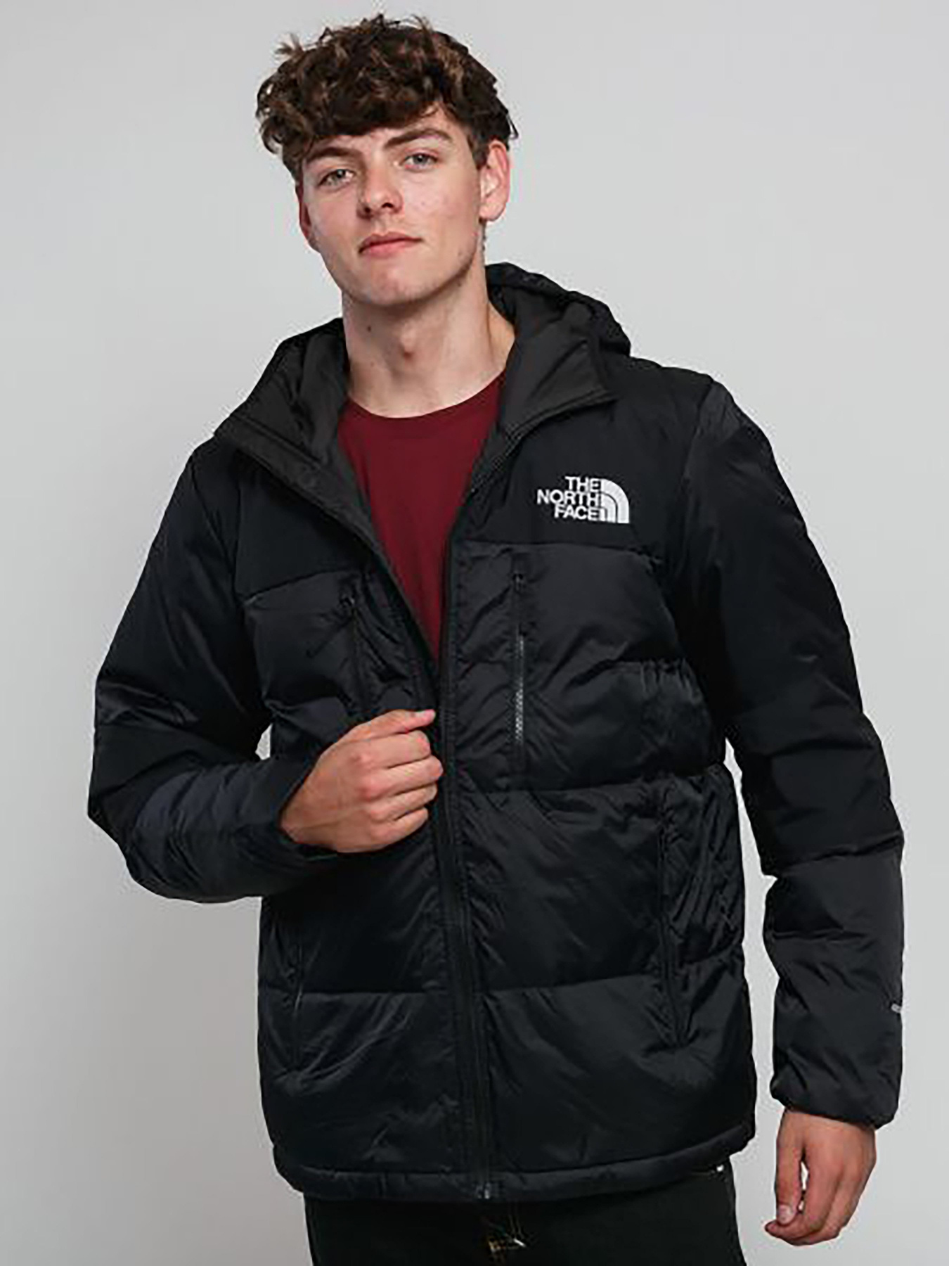 Куртки та дублянки The North Face Himalayan модель NF0A3OEDJK31 Фото