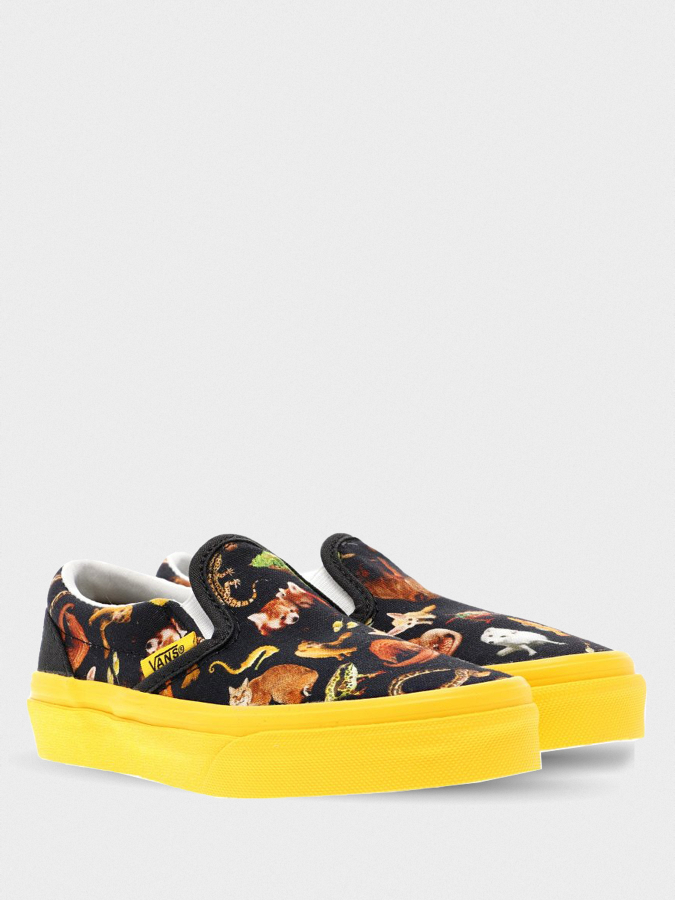 Слипоны и мокасины Vans Vans x National Geographic Classic Slip-On  модель VN0A4BUTWK6 Фото