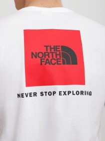 Футболки и поло The North Face REDBOX модель NF0A2TX2FN41 Фото
