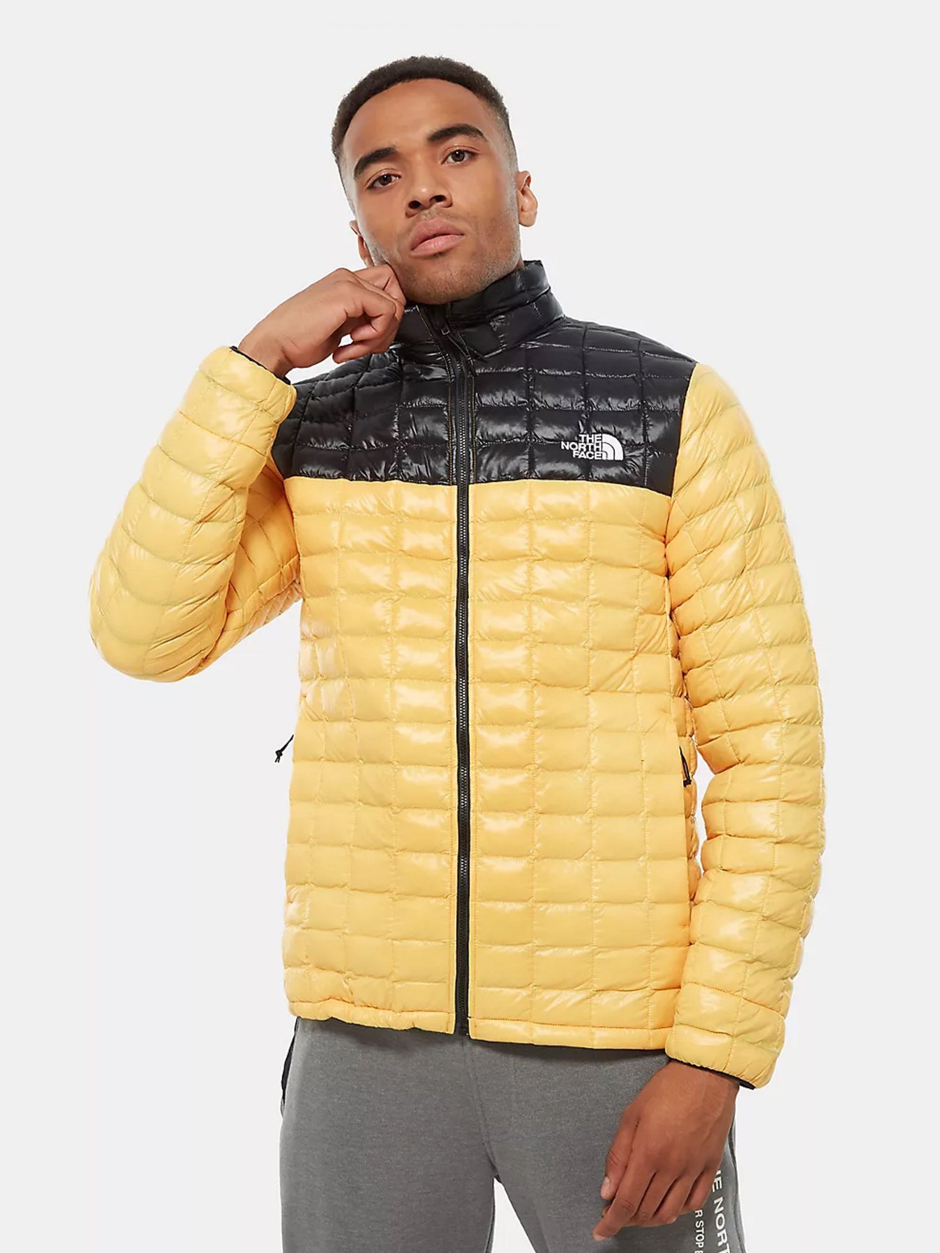 Куртки и дубленки The North Face ThermoBall Eco модель NF0A3Y3NLR01 Фото