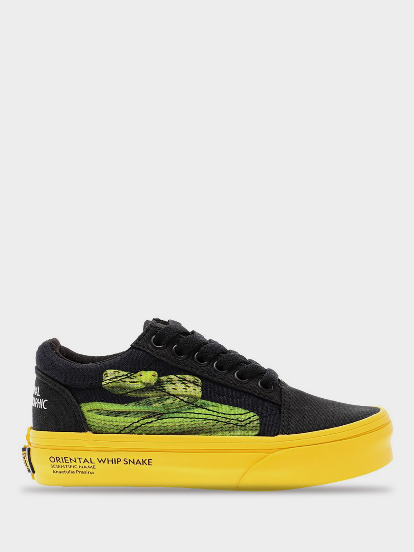 Кеди Vans x National Geographic Old Skool  модель VN0A4BUUWK61 Фото
