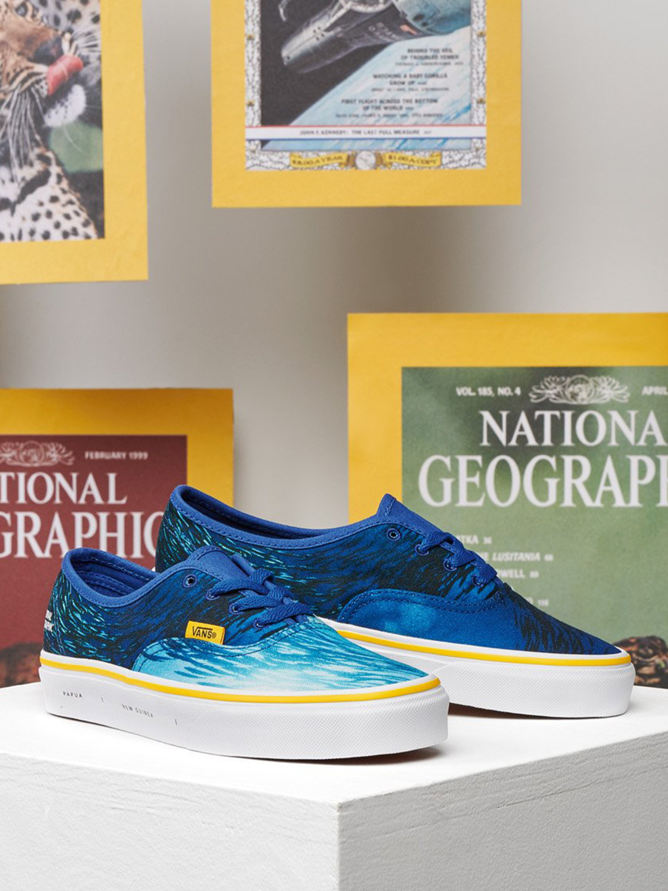 Кеди Vans Authentic модель VN0A2Z5I0021 Фото