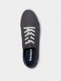 Кеди Timberland Skape Park модель TB0A268J033 Фото