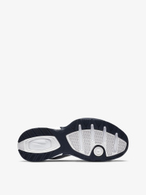 Кроссовки NIKE AIR MONARCH IV модель 415445-102 Фото