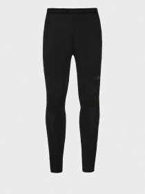 Штани The North Face Easy модель NF0A4CB7JK31 Фото