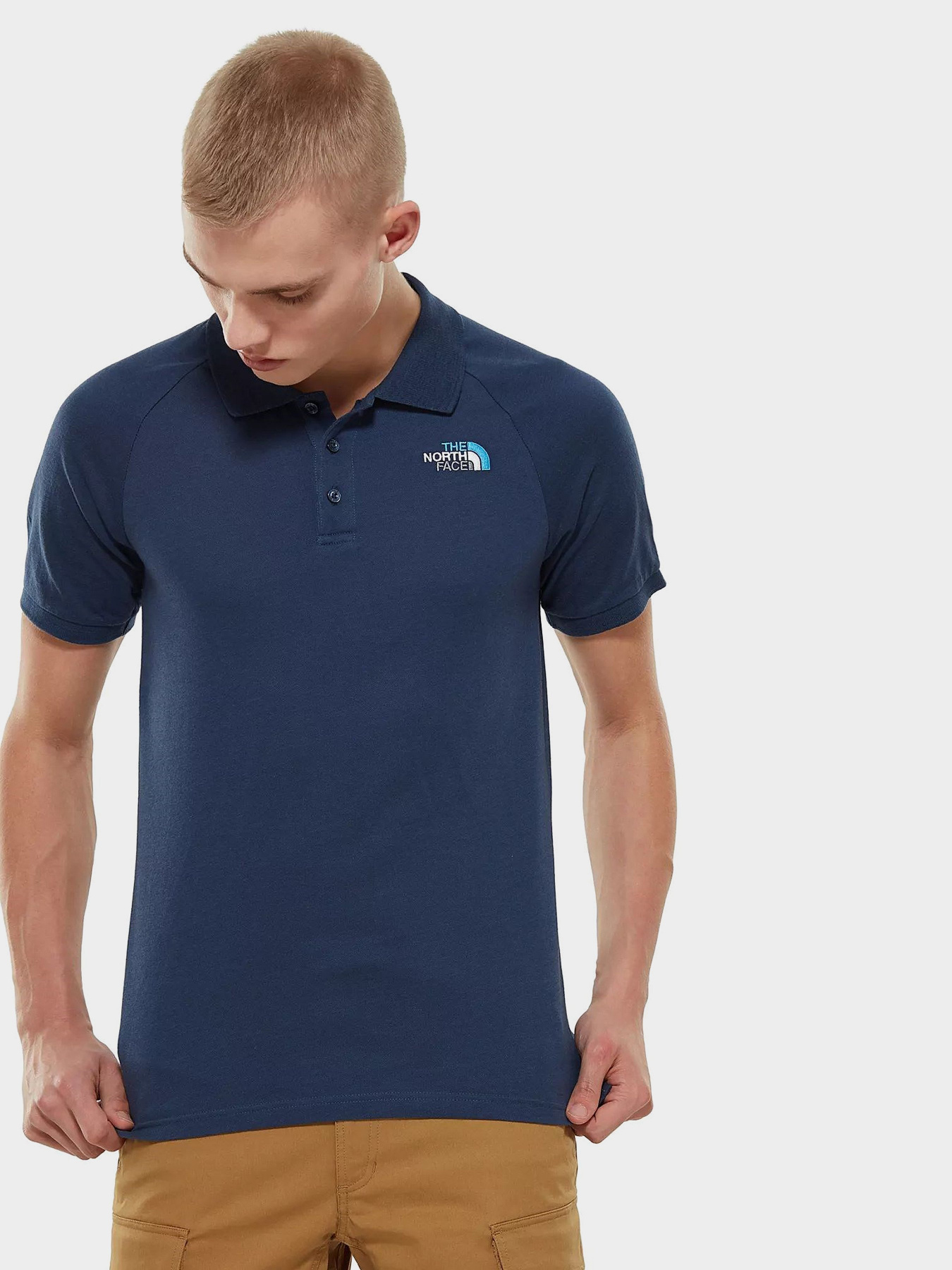Поло The North Face Raglan  модель NF0A3BQ2N4L1 Фото