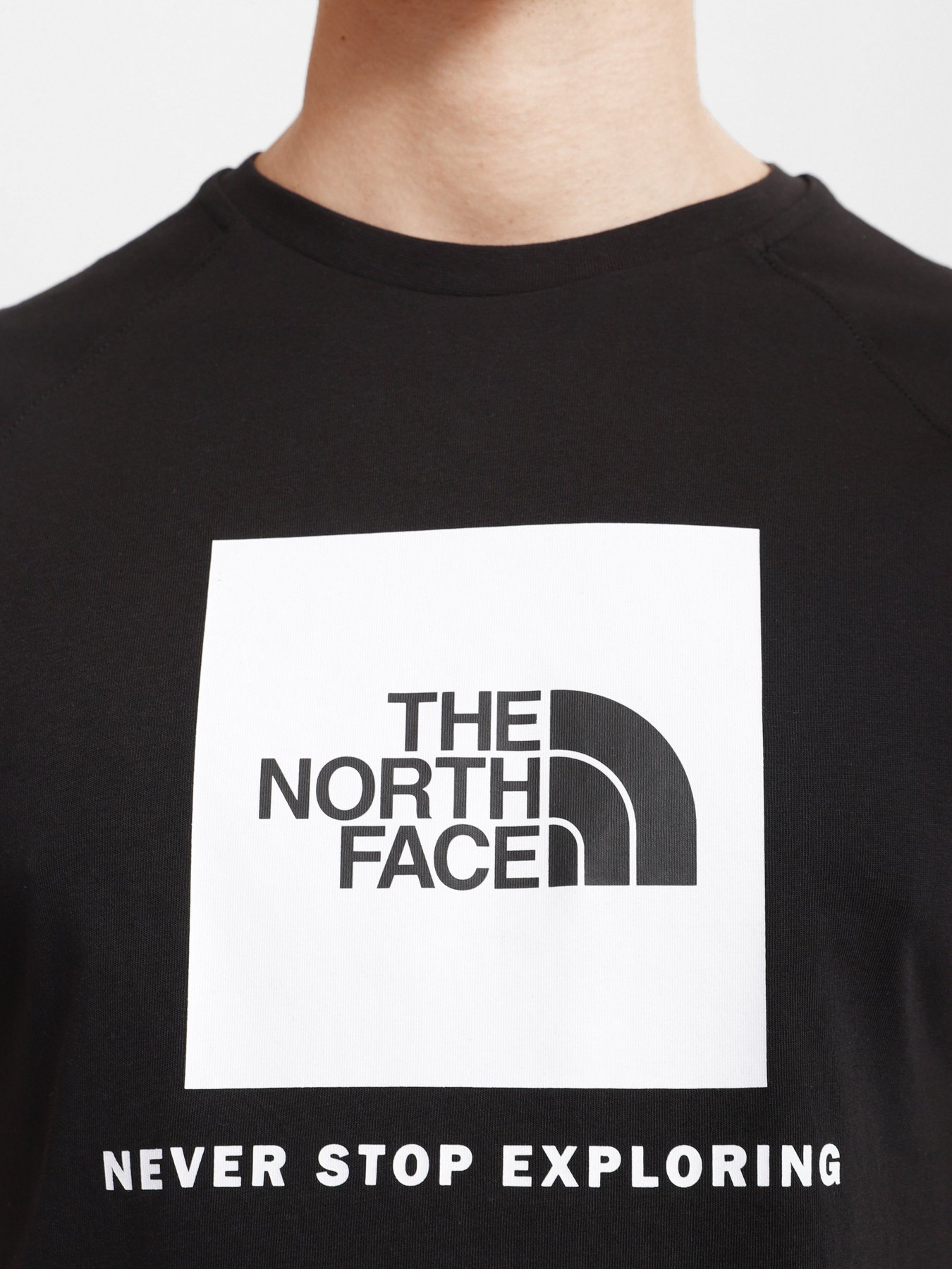 Футболки и поло The North Face Raglan Redbox модель NF0A3BQOKY41 Фото
