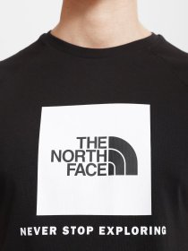 Футболки и поло The North Face Raglan Redbox модель NF0A3BQOKY41 Фото