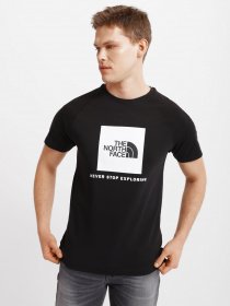 Футболки и поло The North Face Raglan Redbox модель NF0A3BQOKY41 Фото