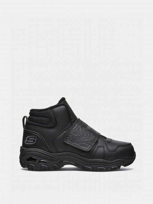 Ботинки и сапоги Skechers D'LITES 1.0 модель 660051L BBK Фото