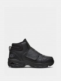 Ботинки и сапоги Skechers D'LITES 1.0 модель 660051L BBK Фото