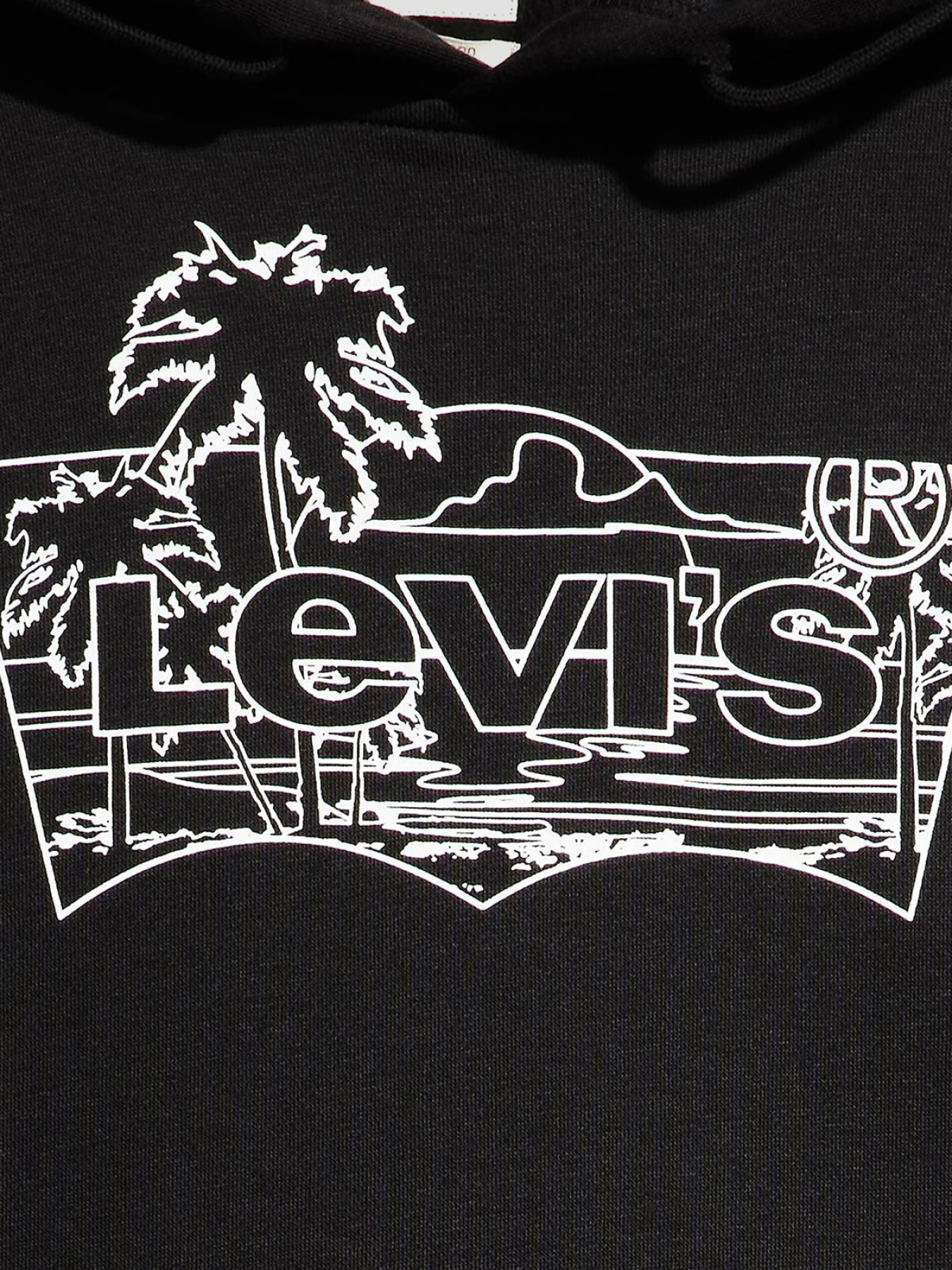 Худі та світшоти Levi's модель 38424;0090 Фото