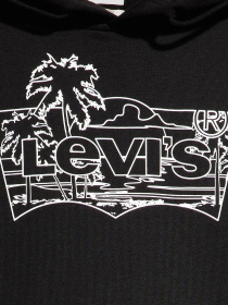 Худі та світшоти Levi's модель 38424;0090 Фото