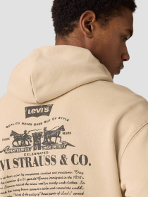 Худі та світшоти Levi's модель 38479;0423 Фото