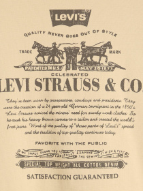 Худі та світшоти Levi's модель 38479;0423 Фото