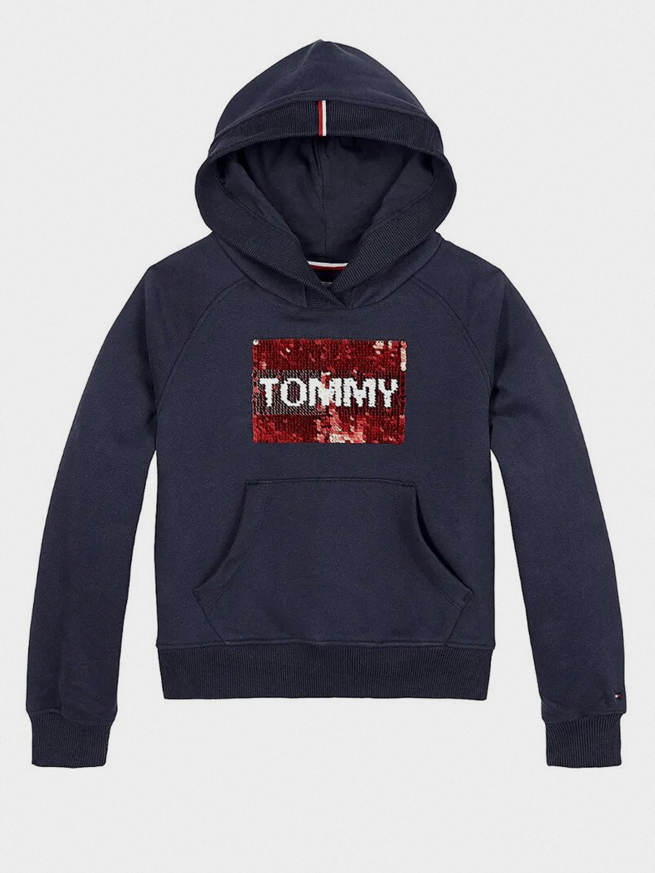 Худи и свитшоты Tommy Hilfiger модель KG0KG05219-C87 Фото