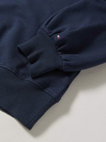 Худі та світшоти Tommy Hilfiger модель KG0KG05493-C87 Фото