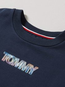 Худі та світшоти Tommy Hilfiger модель KG0KG05493-C87 Фото
