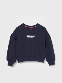Худі та світшоти Tommy Hilfiger модель KG0KG05493-C87 Фото