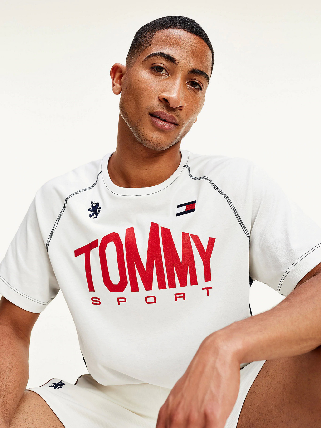 Футболки и поло Tommy Hilfiger ICONS модель S20S200502-YBI Фото