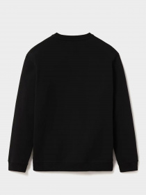 Худи и свитшоты Napapijri Sweatshirt Box модель NP0A4EIS0411 Фото