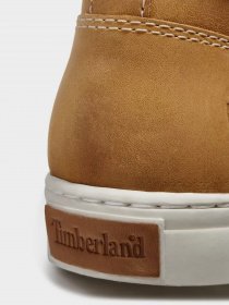Черевики та чоботи Timberland Adventure Cupsole модель TB0A1JU1231 Фото