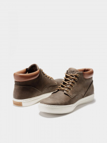 Ботинки и сапоги Timberland Adventure Cupsole Chukka модель TB0A1JUC302 Фото