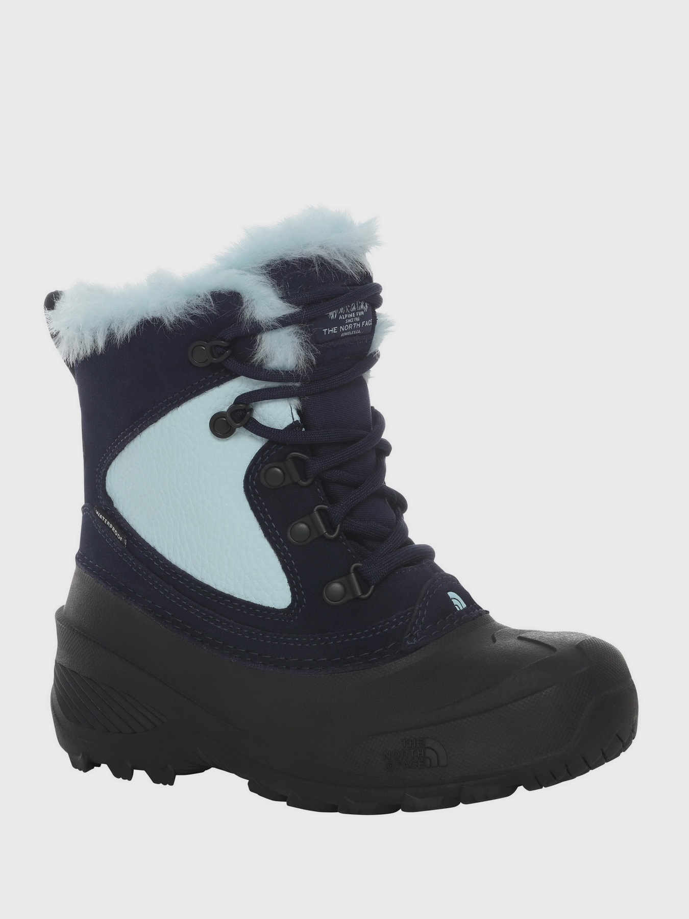 Черевики та чоботи The North Face Shellista Extreme модель NF0A2T5VVDA1 Фото