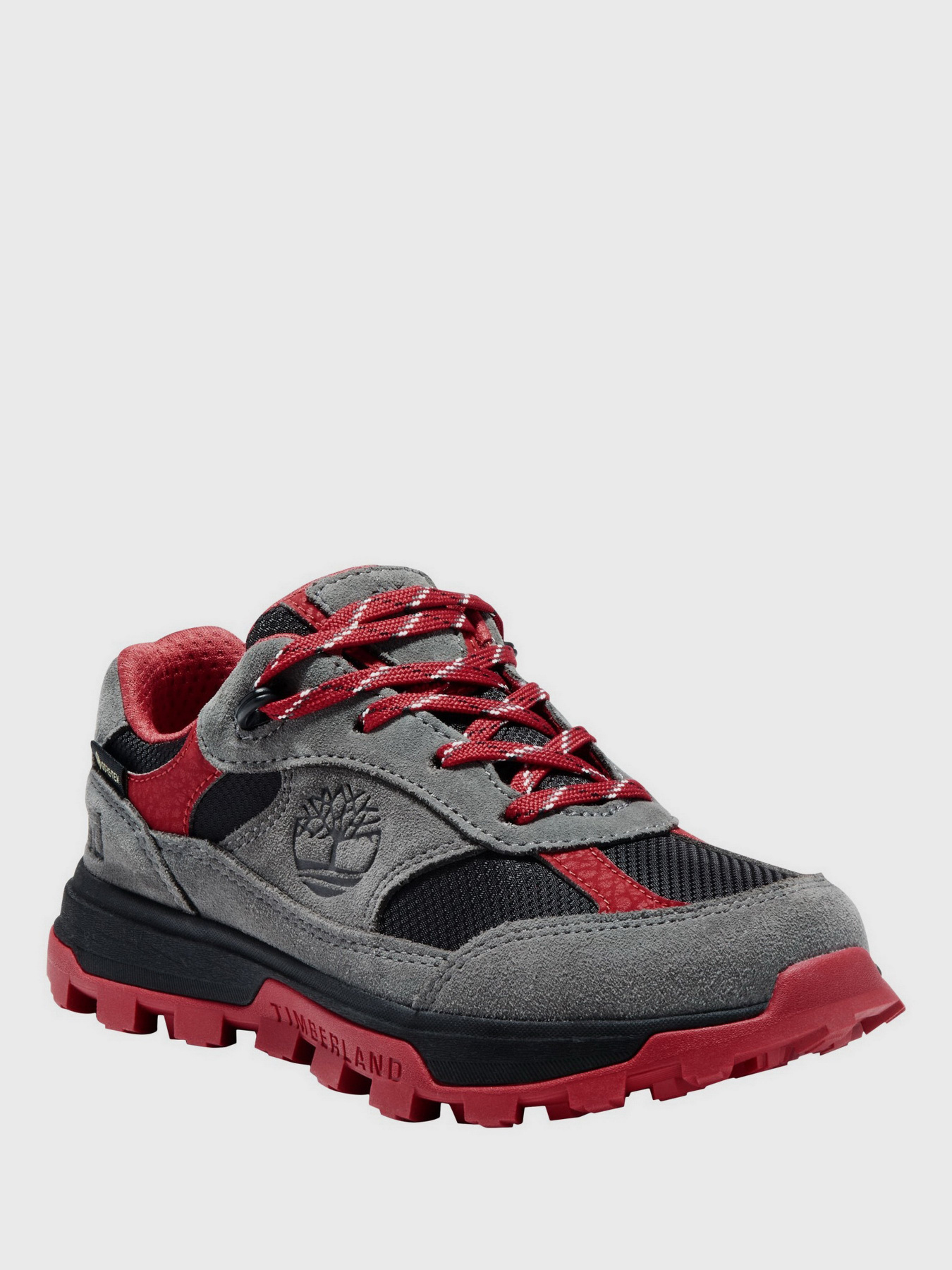 Напівчеревики Timberland Trail Trekker Gore-Tex Low Hiker модель TB0A27M8018 Фото