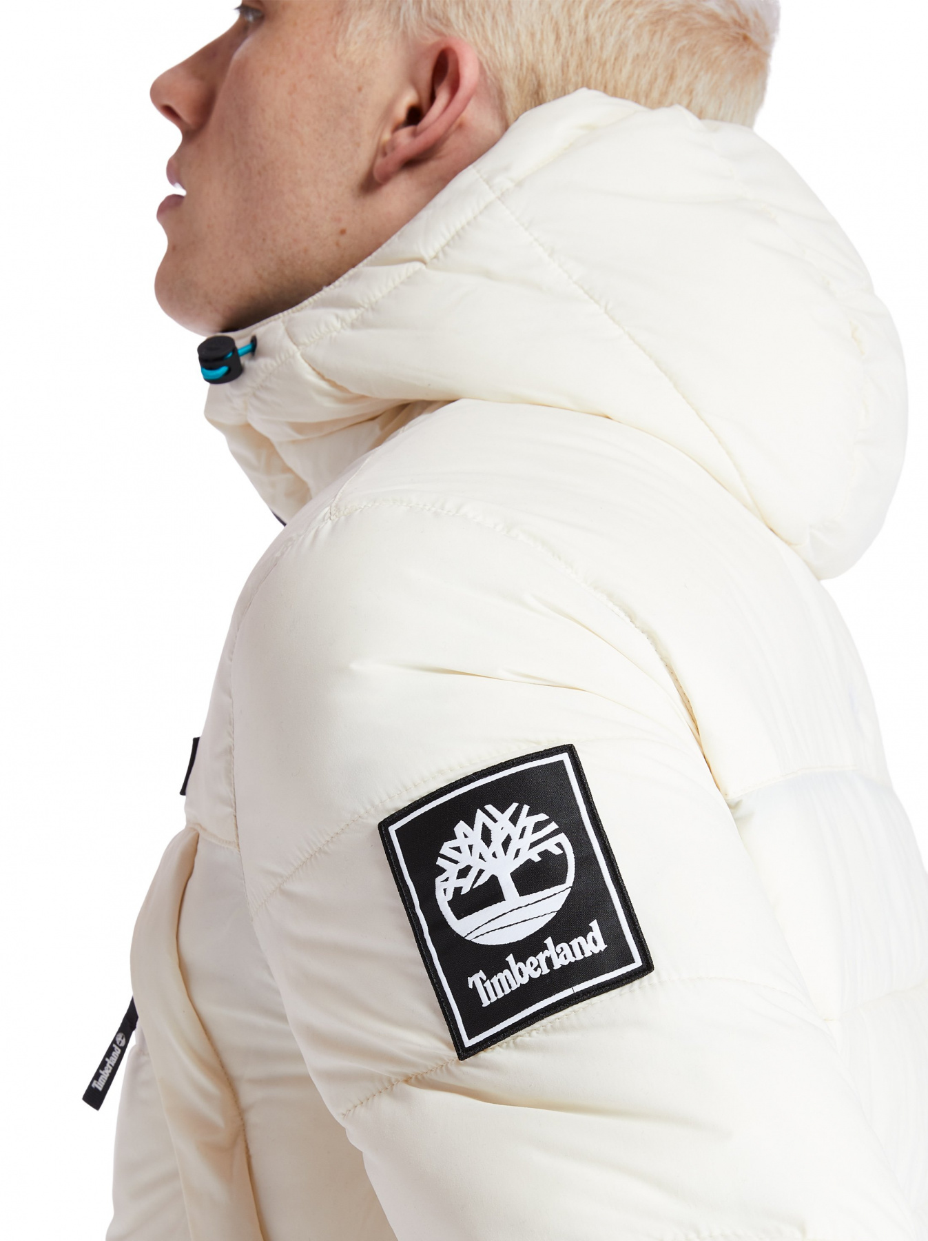 Куртки та дублянки Timberland Outdoor Archive модель TB0A2AEBAQ4 Фото