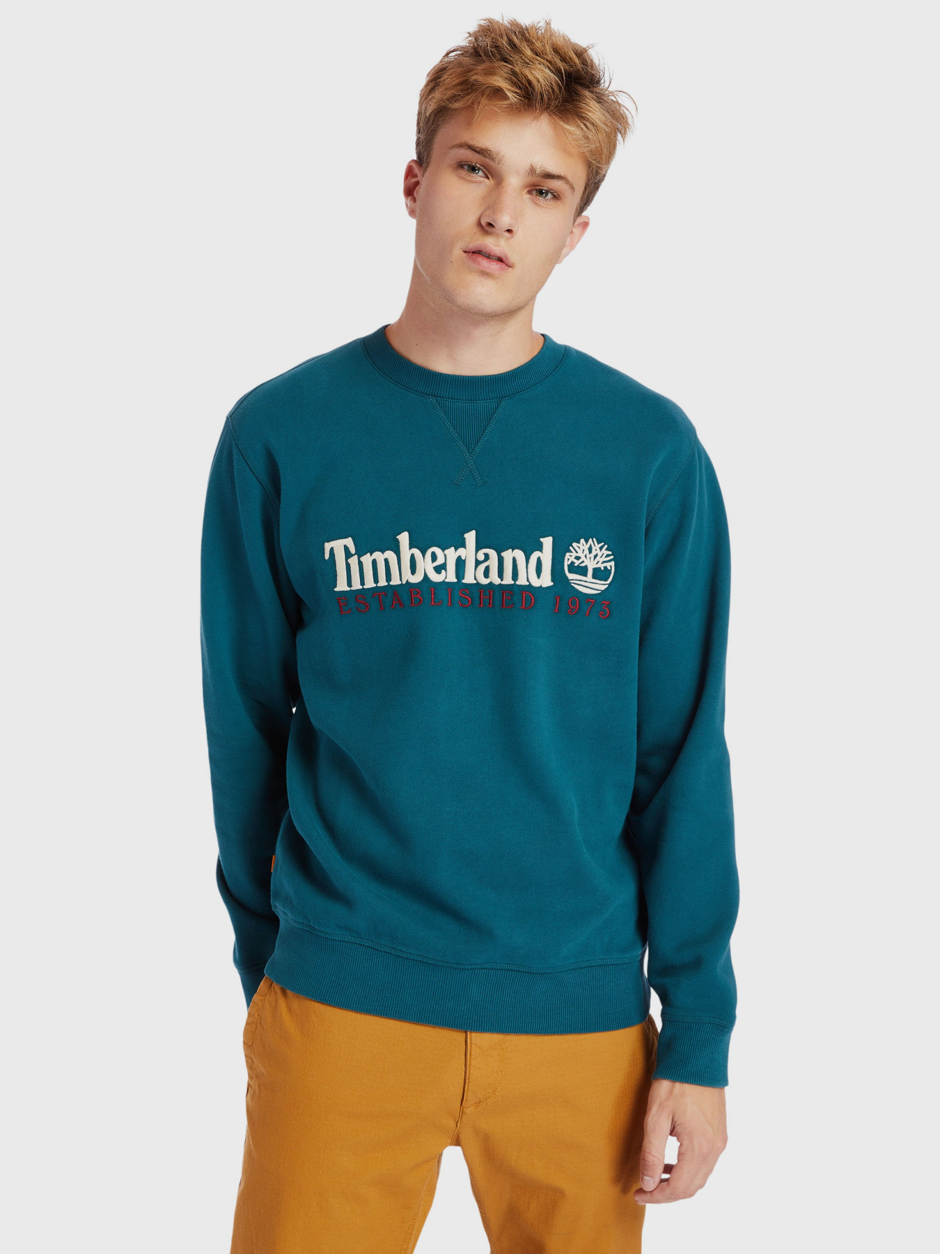 Худи и свитшоты Timberland Heritage Est. 1973 модель TB0A2CQZAK1 Фото