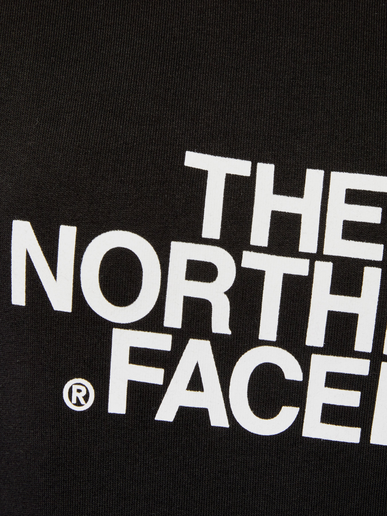Худі та світшоти The North Face Drew Peak Crew модель NF0A3S4GJK31 Фото