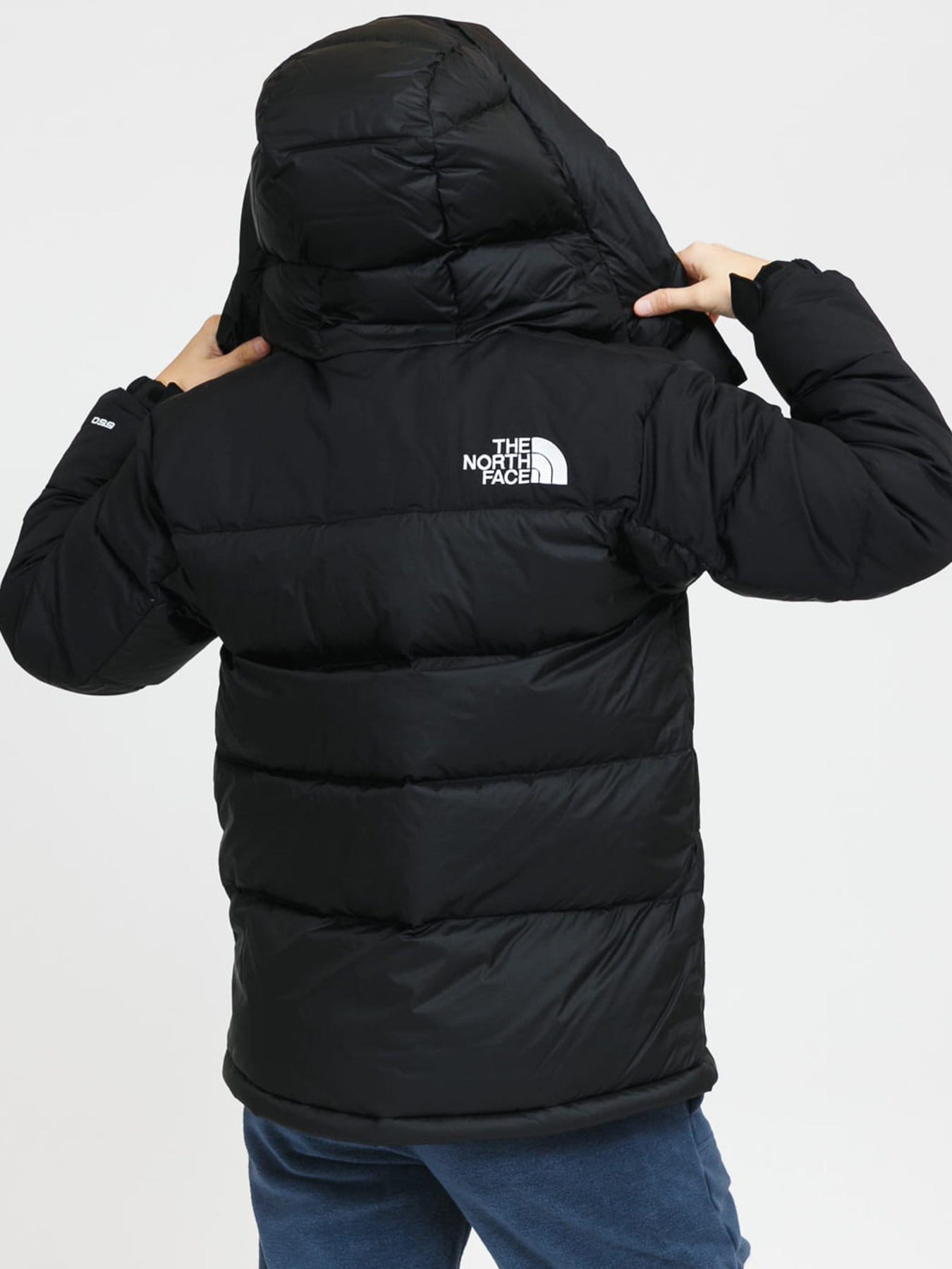 Куртки и дубленки The North Face Hmlyn модель NF0A4R2WJK31 Фото