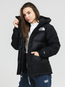 Куртки и дубленки The North Face Hmlyn модель NF0A4R2WJK31 Фото