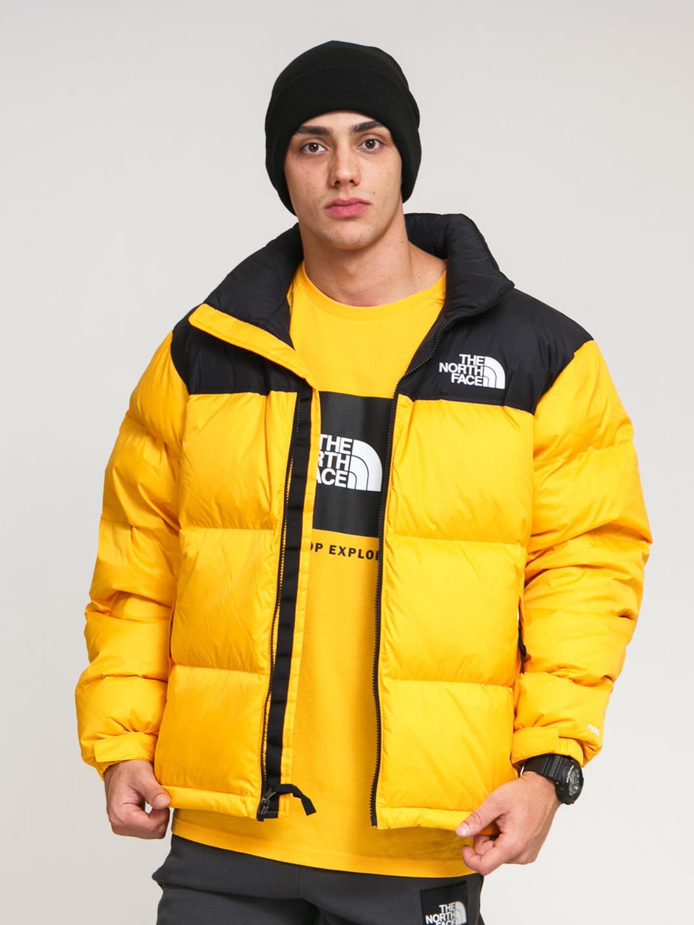 Куртки и дубленки The North Face 1996 Retro Nuptse модель NF0A3C8D56P1 Фото