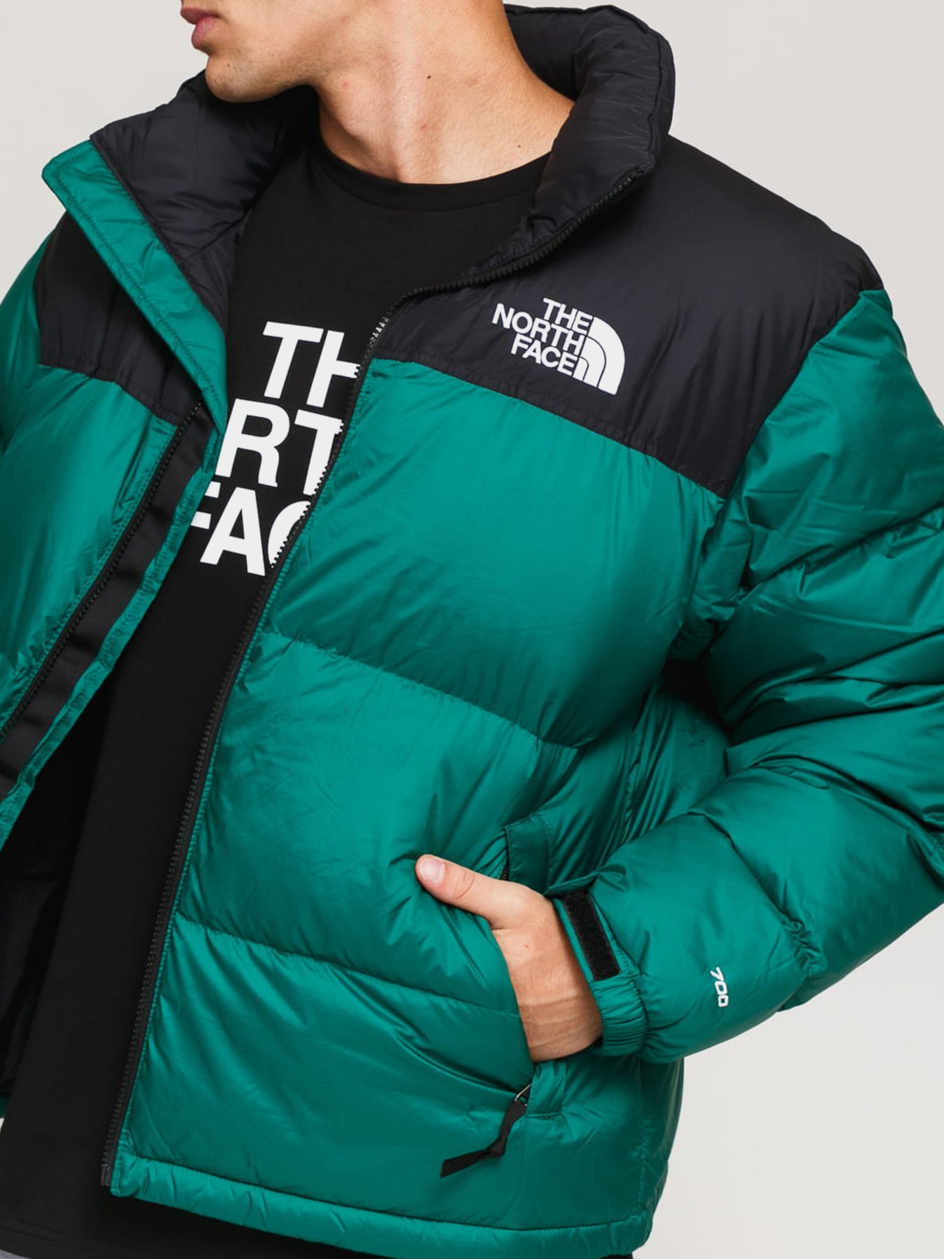Куртки и дубленки The North Face 1996 Retro Nuptse модель NF0A3C8DNL11 Фото