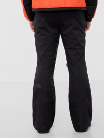 Штани The North Face Chakal модель NF0A4QXGJK31 Фото