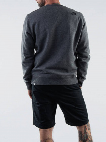 Худи и свитшоты The North Face Drew Peak Crew Neck модель NF0A4SVRGVD1 Фото