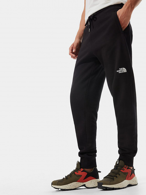 Брюки The North Face Nse Outdoor модель NF0A4SVQJK31 Фото