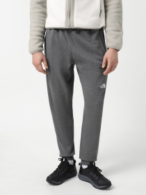 Брюки The North Face NSE модель NF0A4SVQDYY1 Фото