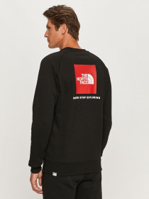 Худи и свитшоты The North Face Raglan Redbox модель NF0A4SZ9KX91 Фото