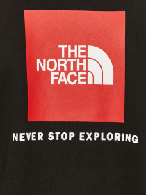 Худи и свитшоты The North Face Raglan Redbox модель NF0A4SZ9KX91 Фото