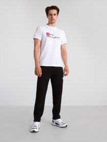 Брюки The North Face Standard модель NF0A4M7LJK31 Фото
