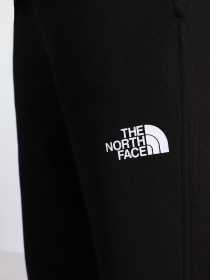 Брюки The North Face Standard модель NF0A4M7LJK31 Фото
