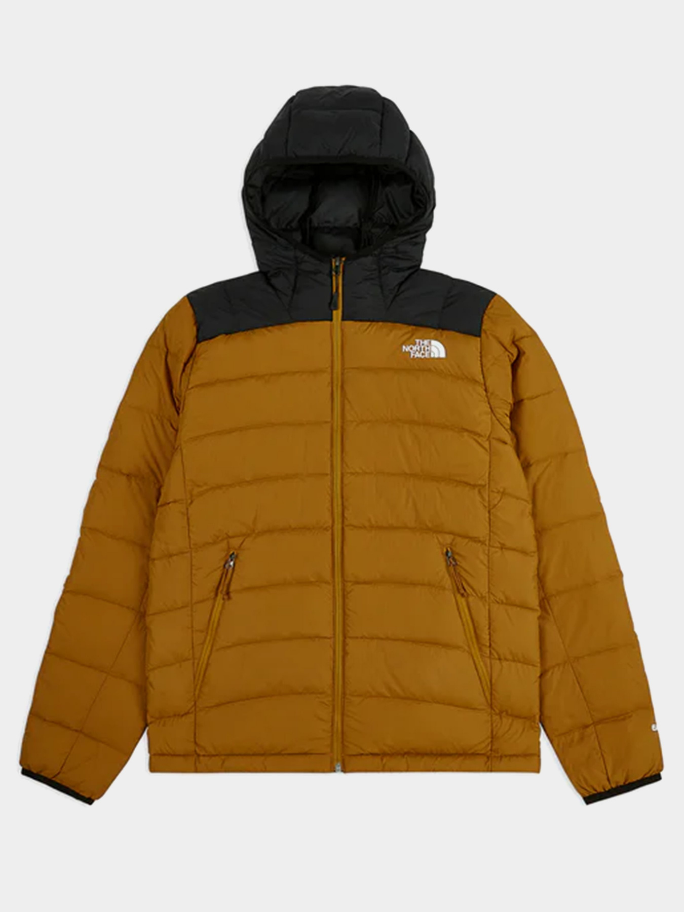 Куртки и дубленки The North Face Lapaz модель NF00CYG9VC71 Фото